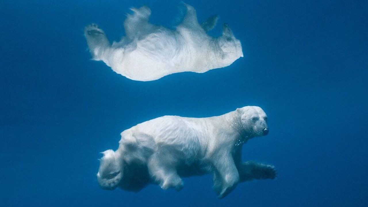 عکس روز اینستاگرام