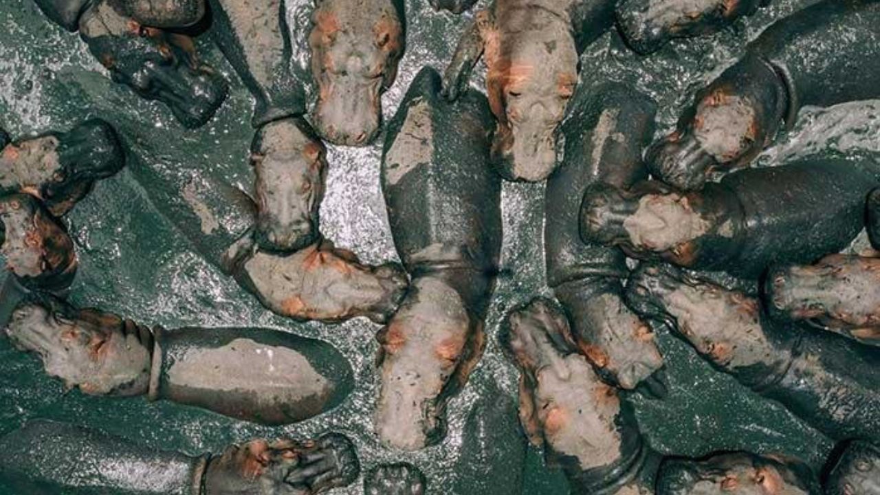 درونستگرام 