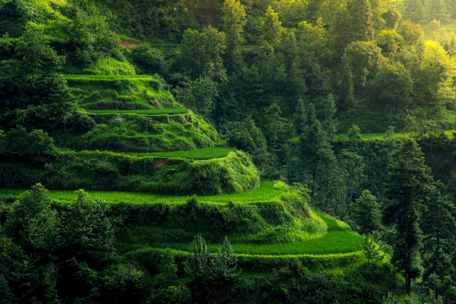 مناظر گوئیژو چین