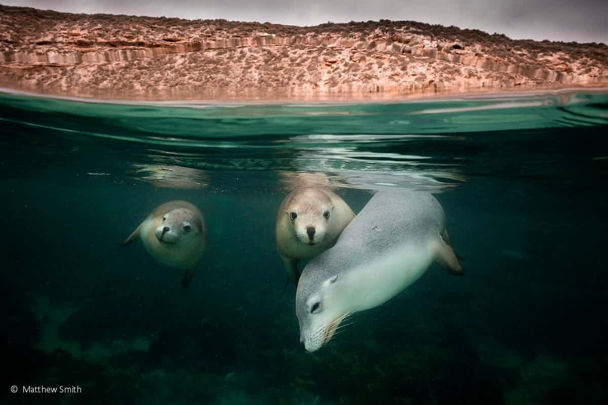 عکاسی طبیعت استرالیا