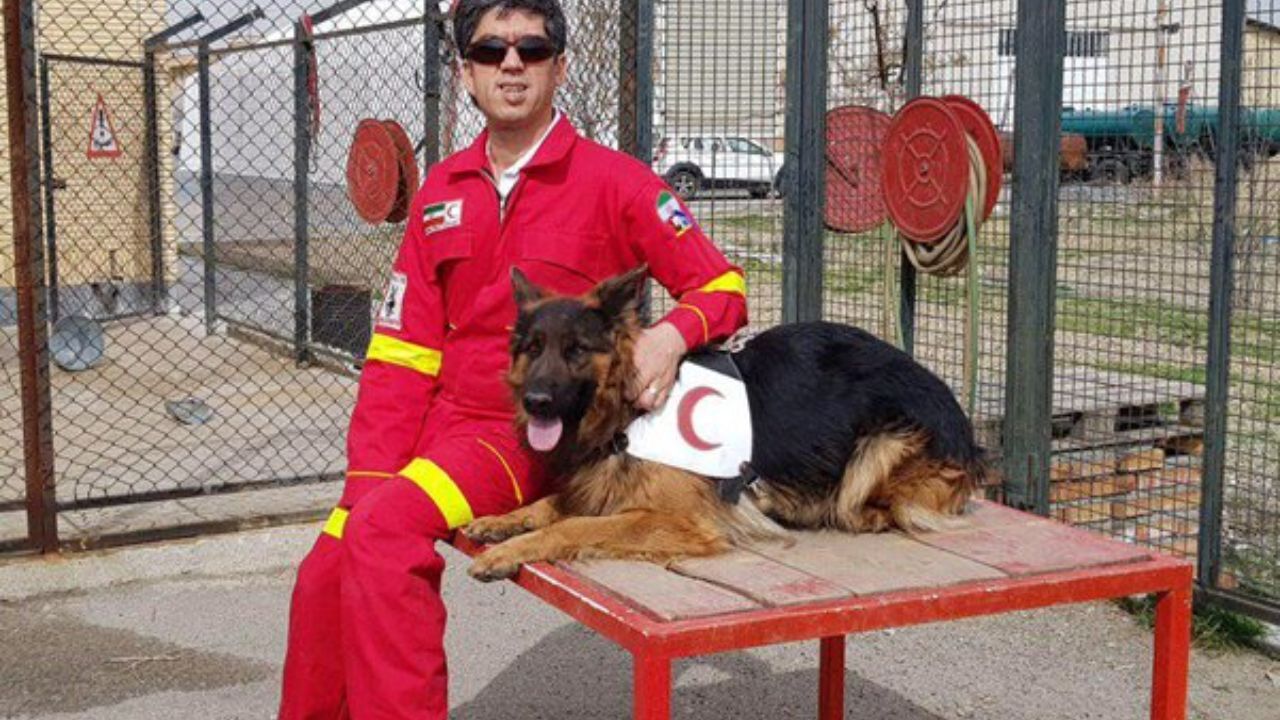 سگ زنده یاب