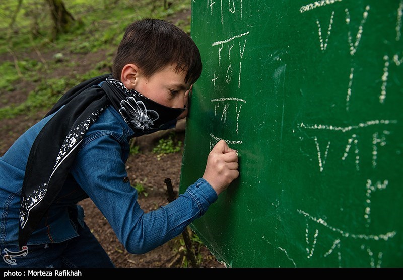 مدرسه جنگلی