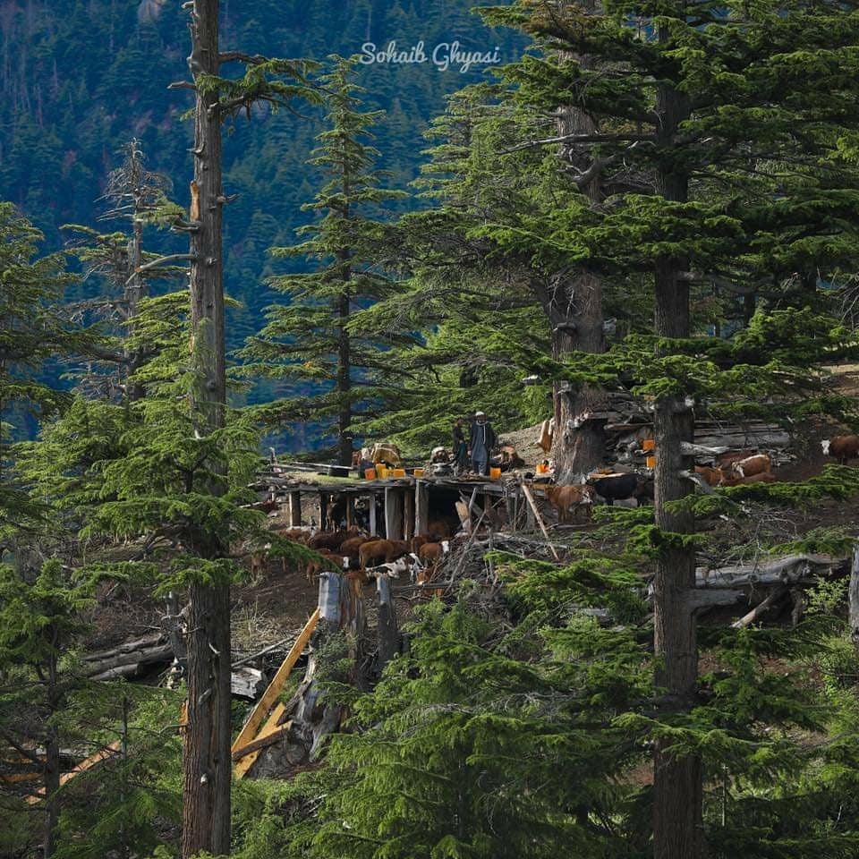 ولایت نورستان افغانستان