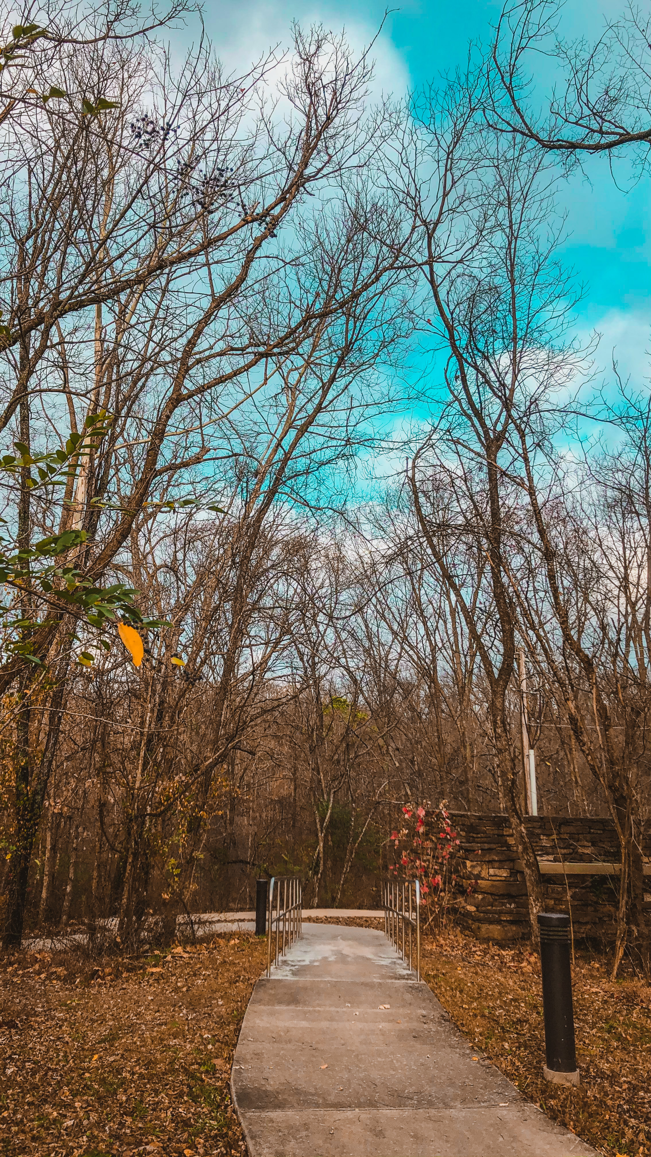 پاییز پارک بِنتُنویل در ایالت آرکانزاس آمریکا