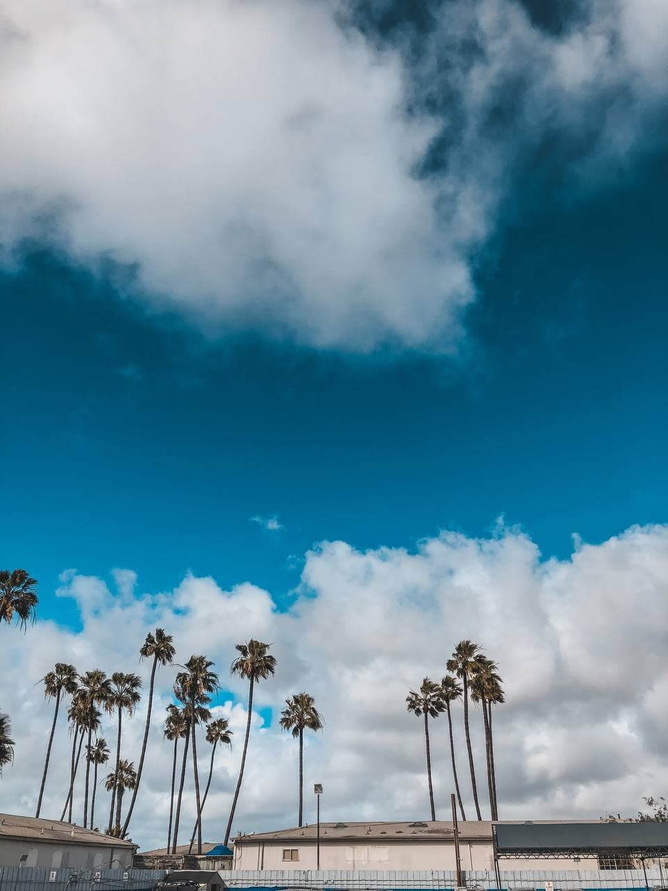 سواحل آرکانزاس