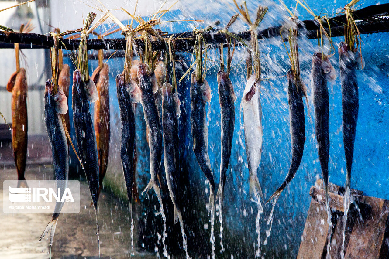 ماهی دودی رشت