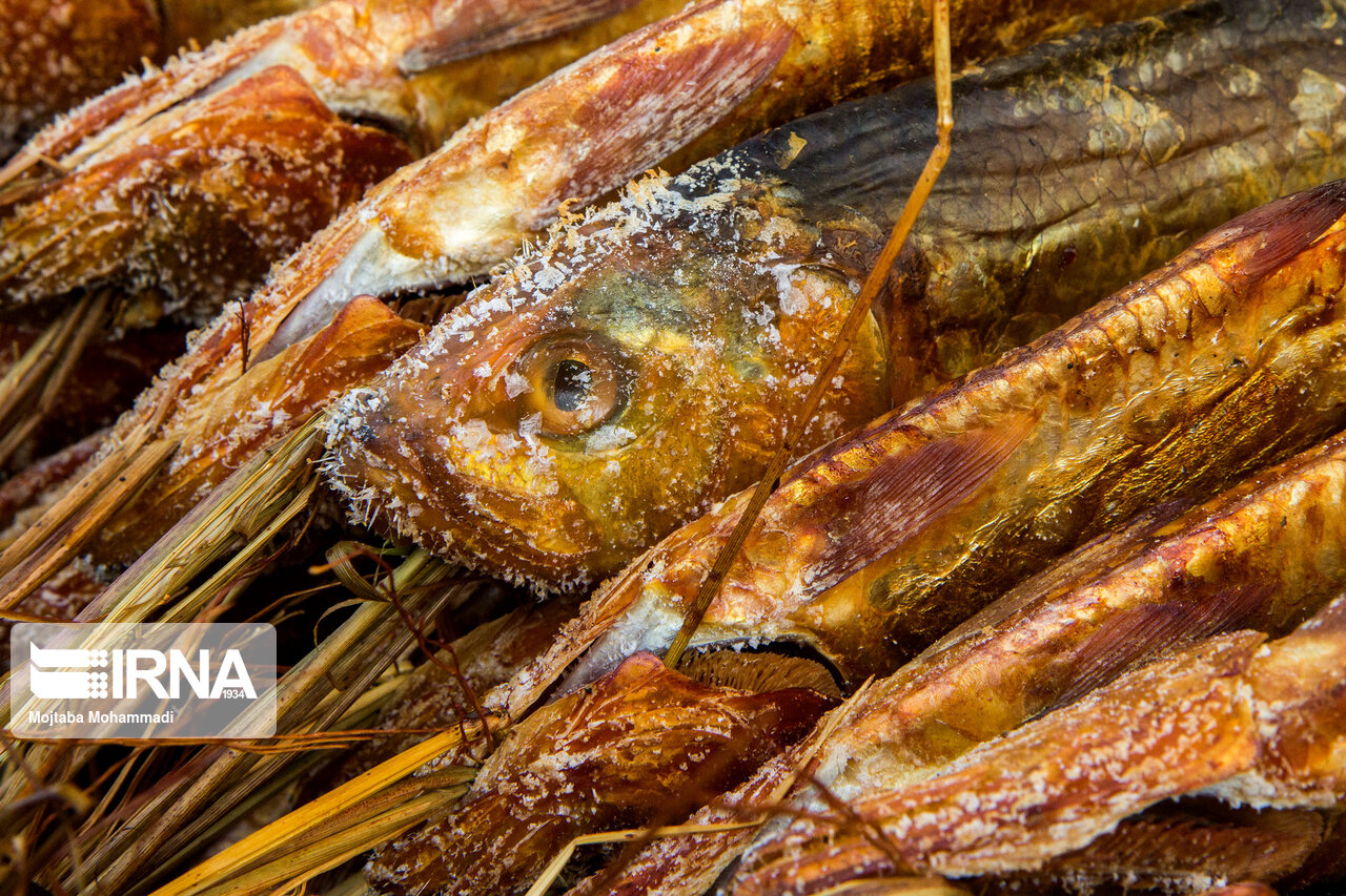 ماهی دودی رشت