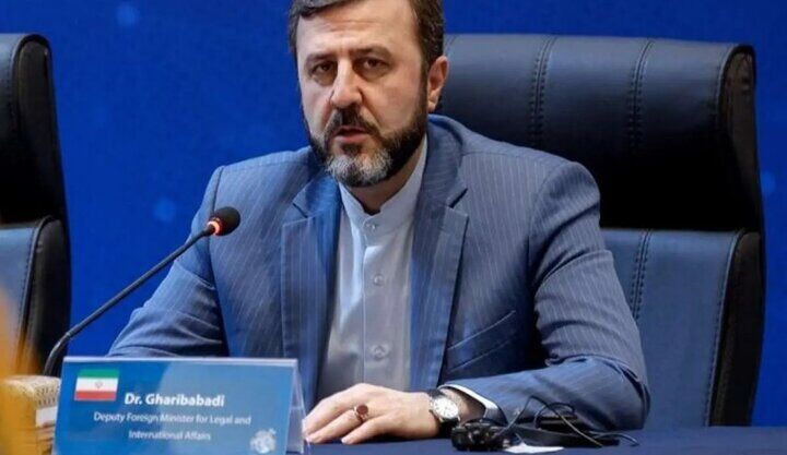 غریب‌آبادی: کاهش سطح آب، مهم‌ترین معضل زیست‌محیطی دریای خزر است 