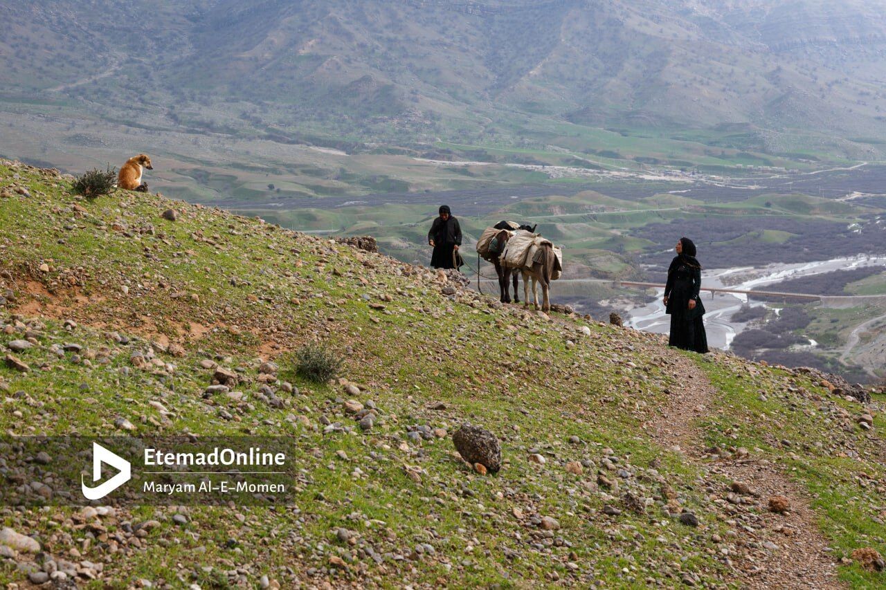 گزارش تصویری | این مردم فقیر سال‌هاست غارنشین هستند