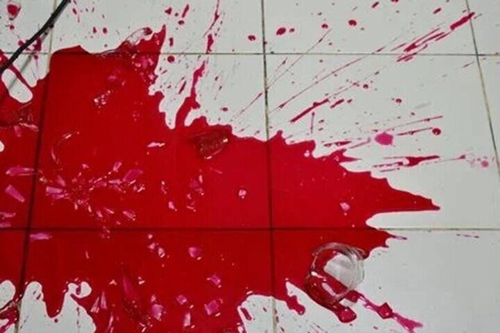 اعلام تصمیم تازه درباره قصاص قاتل خبرنگار ایرنا
