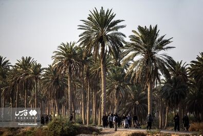 اربعین 1401 - فوتر دار