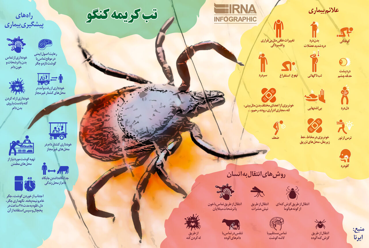 افزایش مبتلایان تب کریمه کنگو به ۵۱ نفر؛ سه بیمار جان باختند/ تاکید وزارت بهداشت بر خرید و ذبح بهداشتی دام