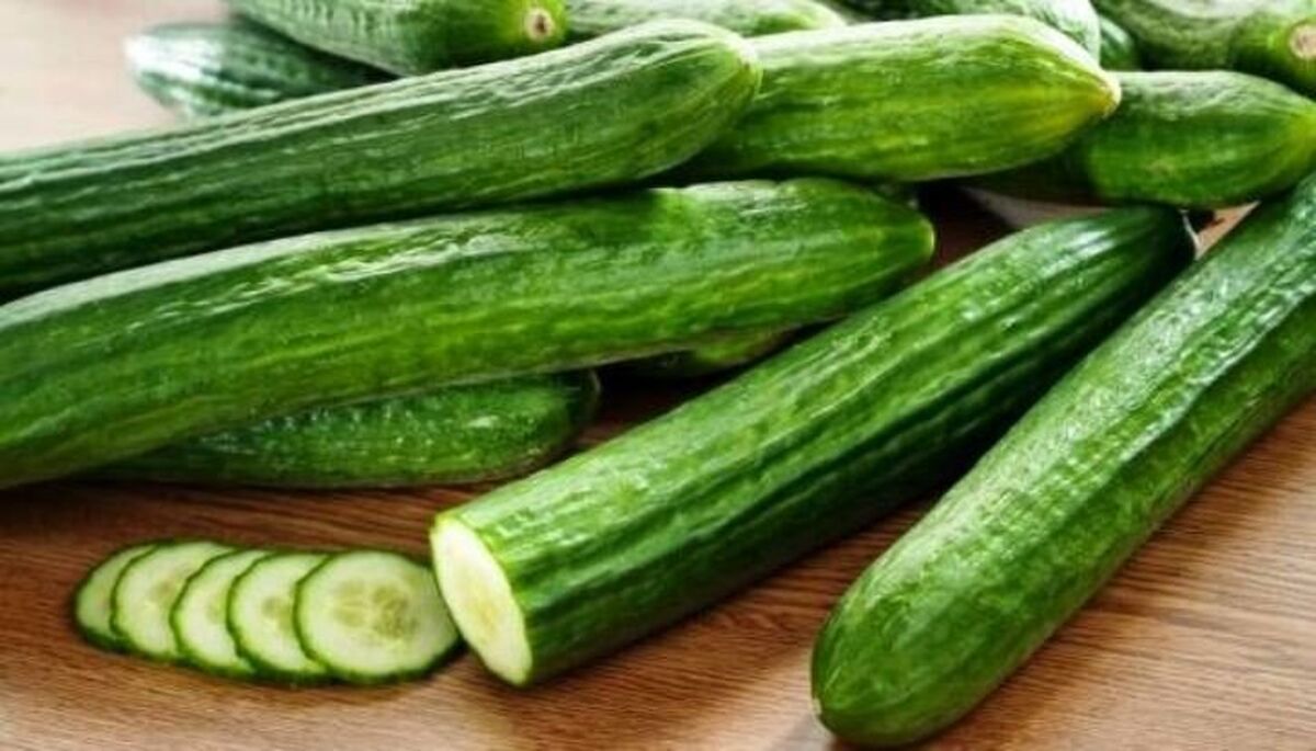 قیمت خیار عجیب شد!