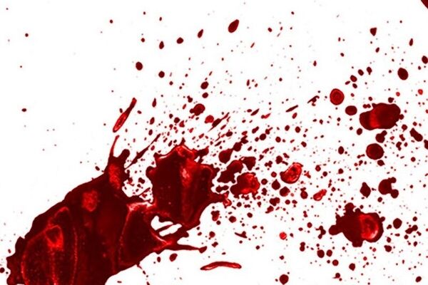 روایت رامتین از قتل عام خانوادگی در پونک؛ از اختلاف بر سر ارثیه تا کشتار بی‌رحمانه