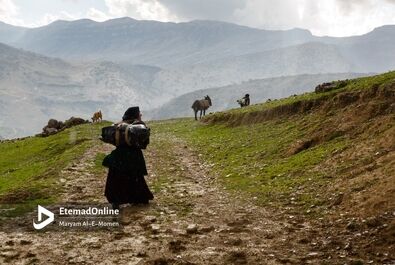 غارنشین‌ها