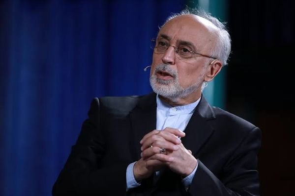 صالحی: جمهوری اسلامی ایران ادامه تمدن کهن ایران و منادی صلح و پیشرفت است