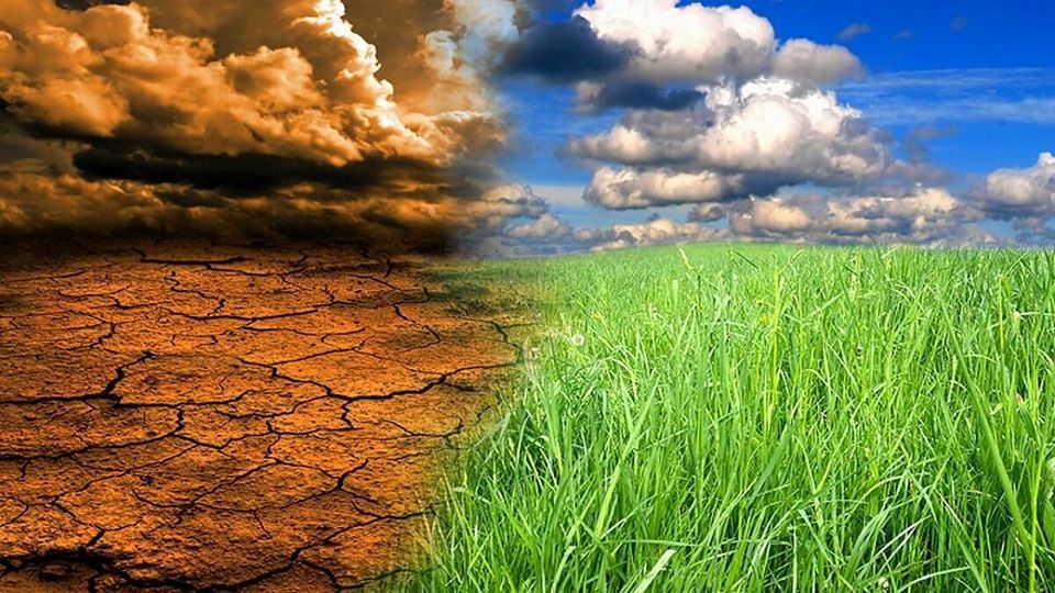 اگر یک هزارم جدیتی که برای رصد حجاب زنان صورت می‌گیرد برای مشکلات محیط زیستی صرف می‌شد بخش مهمی از مصایب وجود نداشت