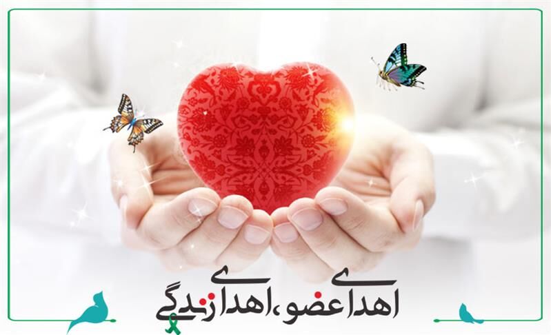 خانم جوان ۳۸ ساله البرزی جان ۴ بیمار را نجات داد