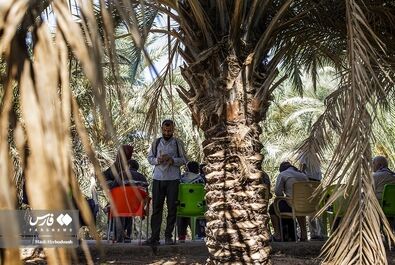 اربعین 1401 - فوتر دار