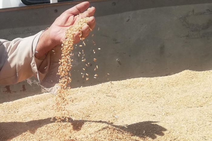 جدایی لوگانسک از اوکراین، سوریه را برای مدتی از بحران گرسنگی نجات داد