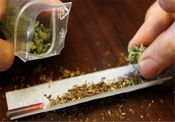 ۵۱.۹ درصد از مصرف‌کنندگان گل ۱۵ تا ۲۹ ساله هستند