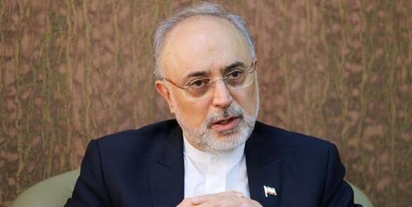 اگر واکنش معقول و موضع منطقی ایران نبود، برجام تاکنون فسخ شده بود