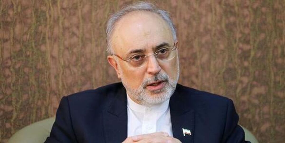 کیهان دست‌بردار رئیس سابق سازمان انرژی اتمی نیست؛ هدف صالحی از سفید‌سازی چهره سیاه آمریکا چیست؟