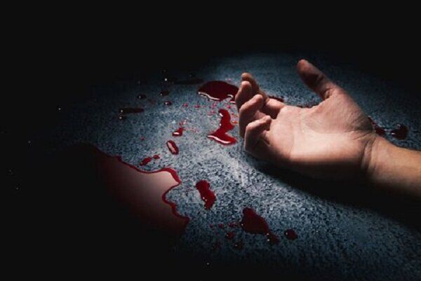 خودکشی مرد میانسال به خاطر گربه‌های دختر همسایه
