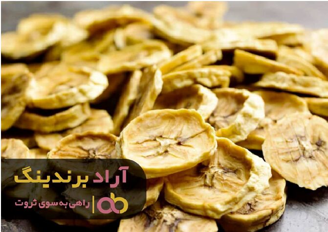 با این ایده ها در بالاترین نقطه ثروت جهان قرار بگیرید