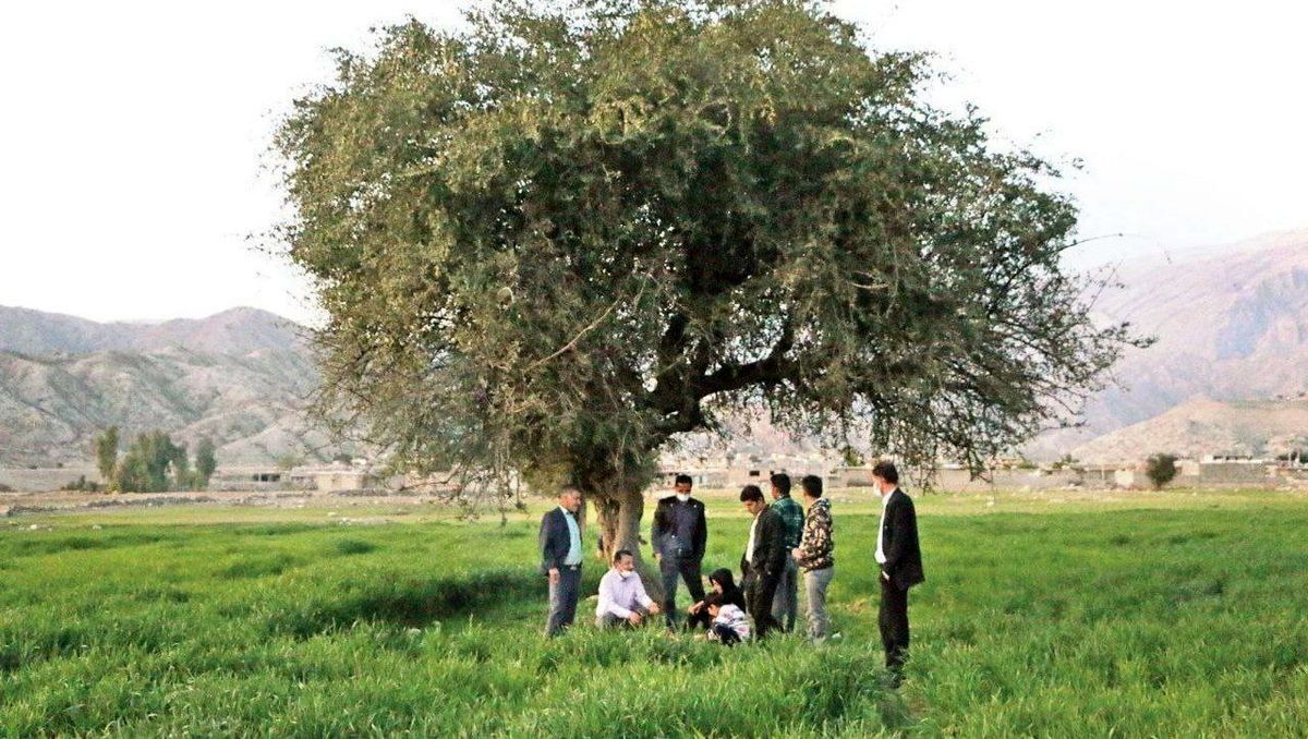اولین زنی که در ایران کدخدا شد + تصویر