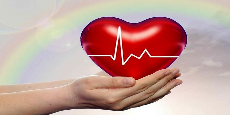 اهدای عضو مرد شیروانی جان 3 بیمار نیازمند را نجات داد