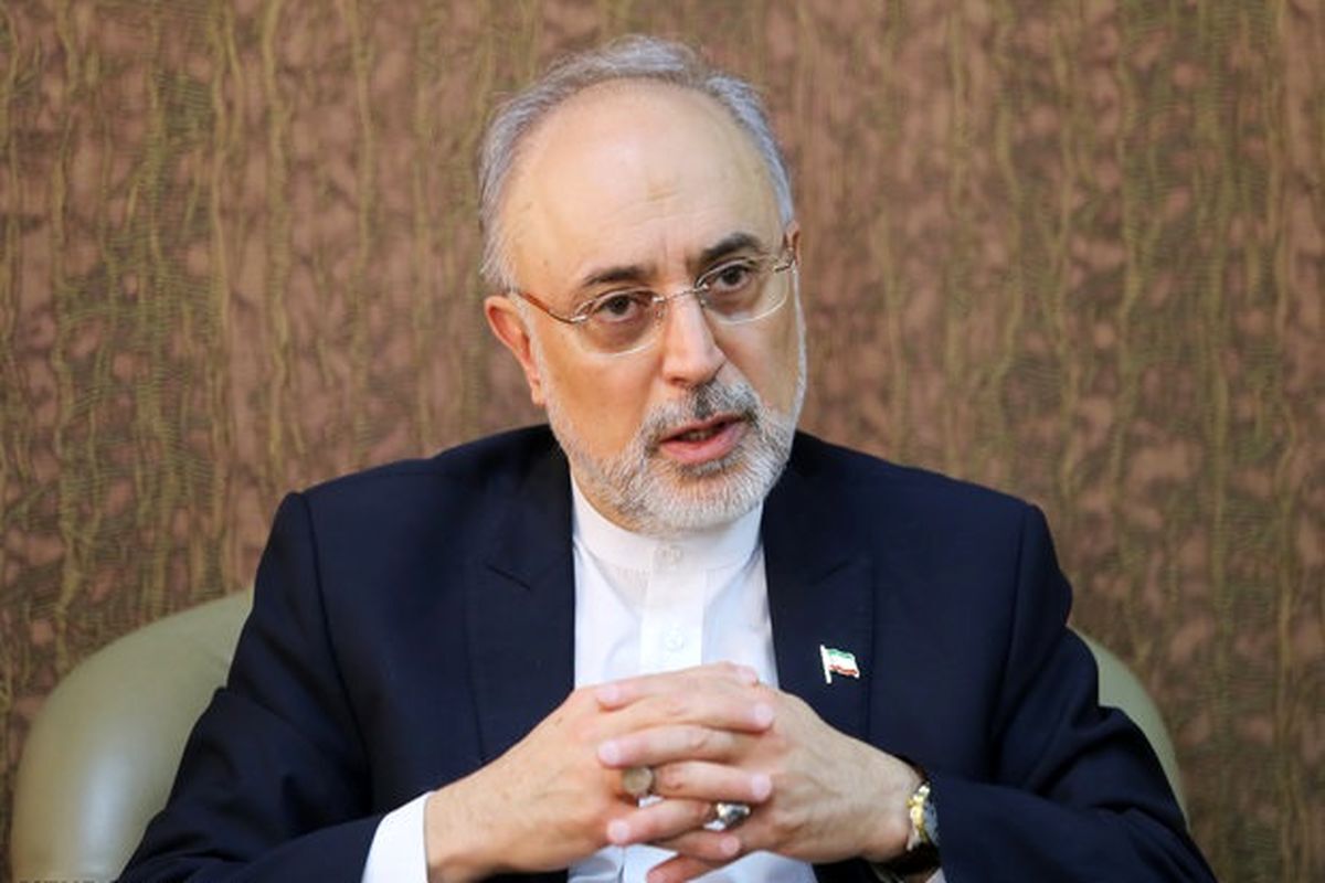 مهم‌ترین ویژگی انقلاب اسلامی اصلاح‌پذیری است