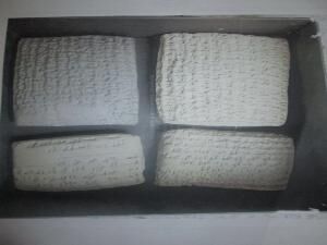 جامعه‌ای که حاملان علم آن مهاجرت می‌کنند باید هم مژدگانی آن آوردن چندهزار سنگ نبشته‌ باشد