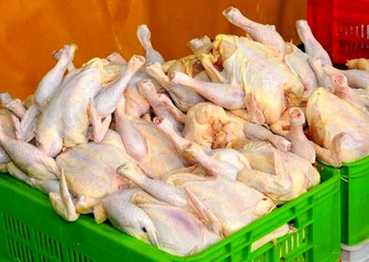 قیمت مرغ امروز یکشنبه ۱۸ مرداد ۱۴۰۵ 