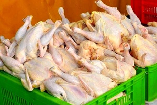 قیمت جدید مرغ عجیب شد 