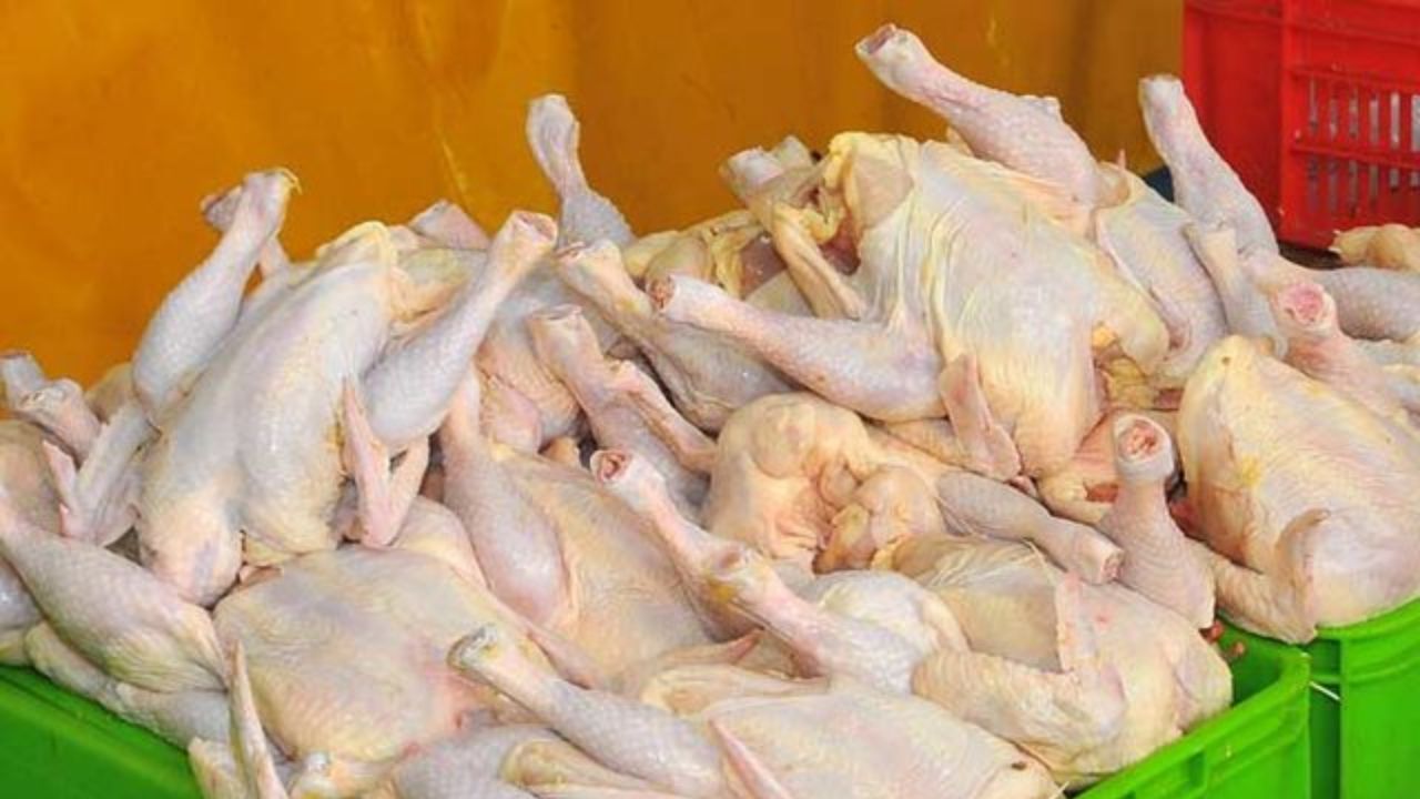افزایش 300 تومانی نرخ مرغ/قیمت به 10هزارو 300 تومان رسید
