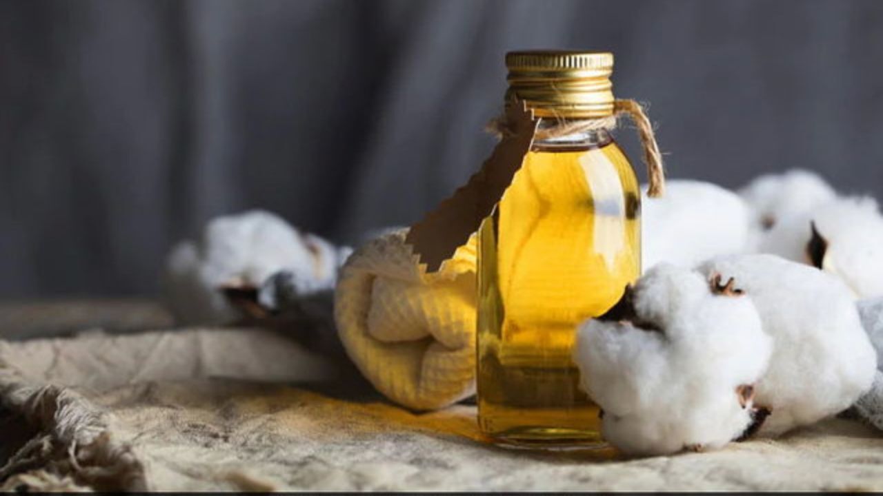 تاثیر نوعی روغن در کاهش کلسترول بد خون