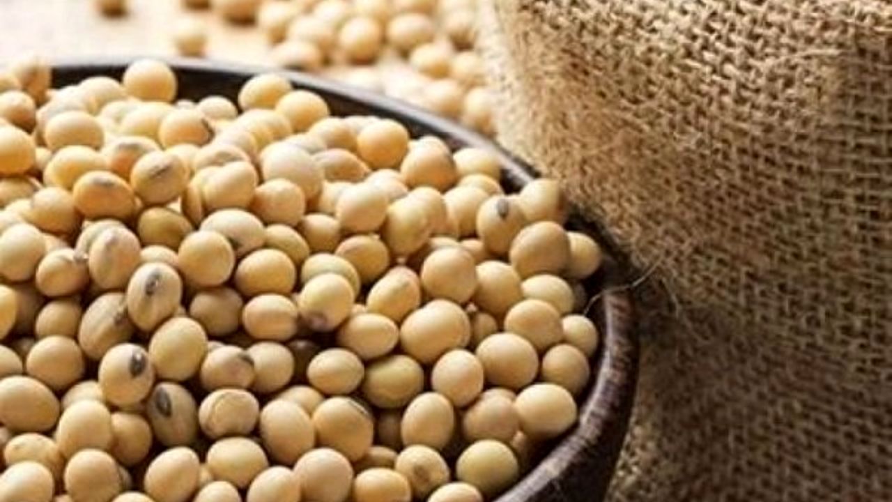 روسیه جایگزین آمریکا در صادرات دانه سویا به چین شد