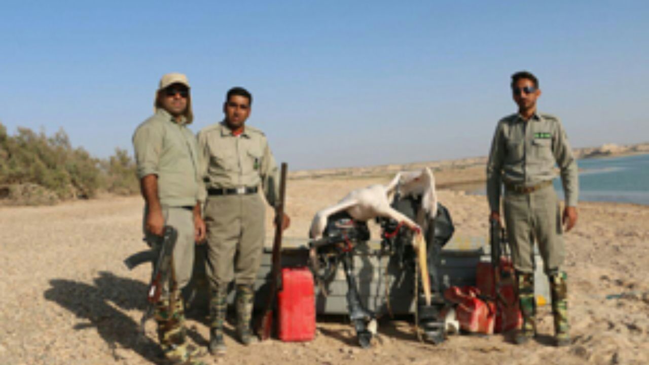شادگان قتل‌گاه پرندگان شده است