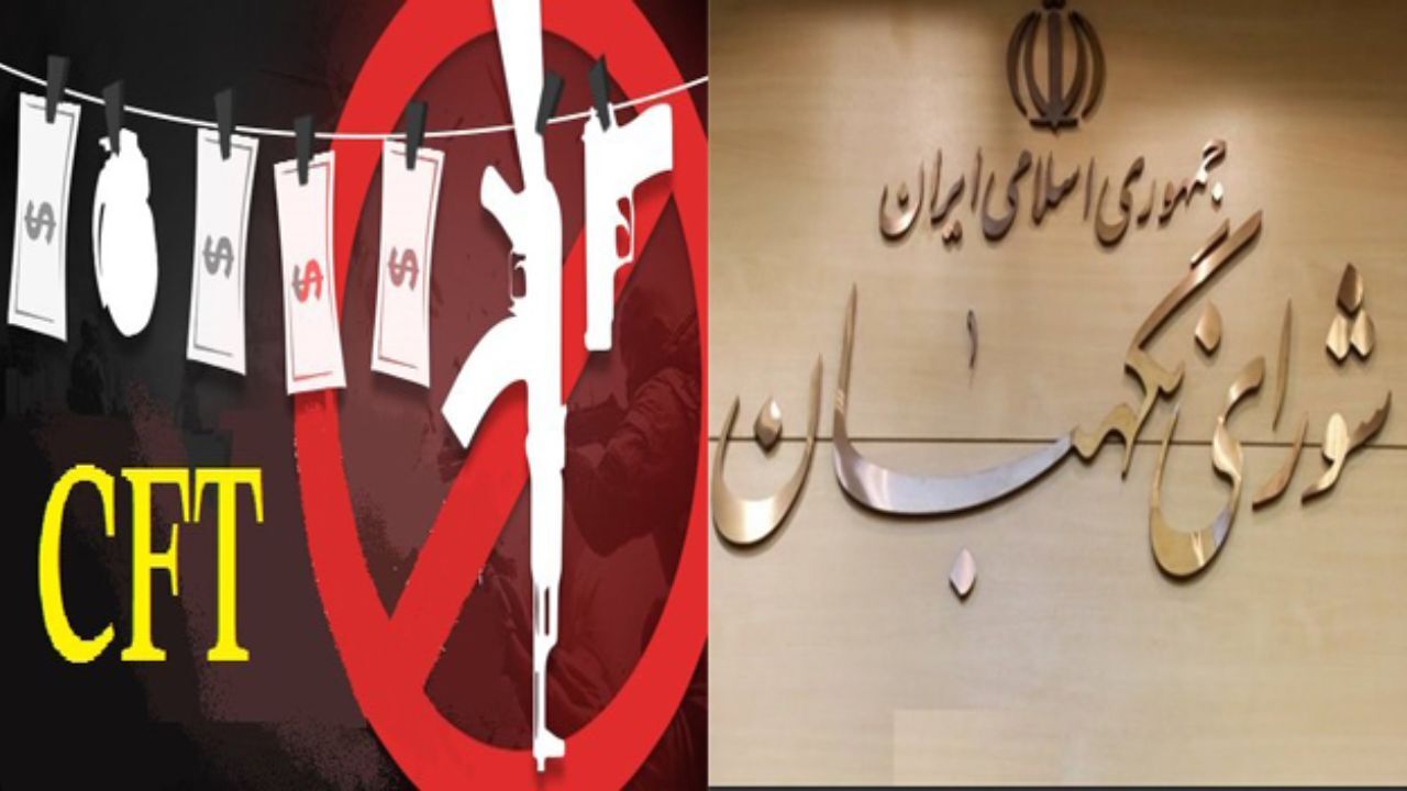 سبحانی‌فر: با اصلاحات کارگروه مشورتی CFT، نظر شورای نگهبان تأمین می‌شود/ این لایحه به مجمع نمی‌رود