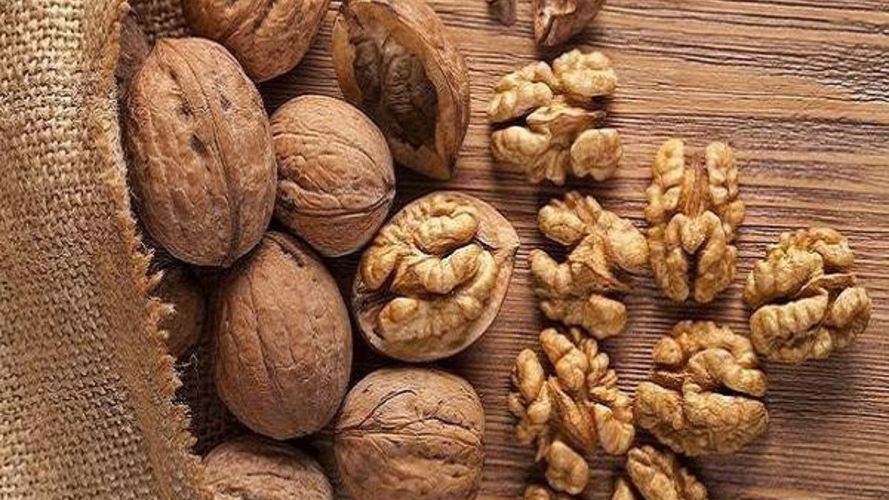 تاثیر گردو در حفظ سلامت دستگاه گوارش