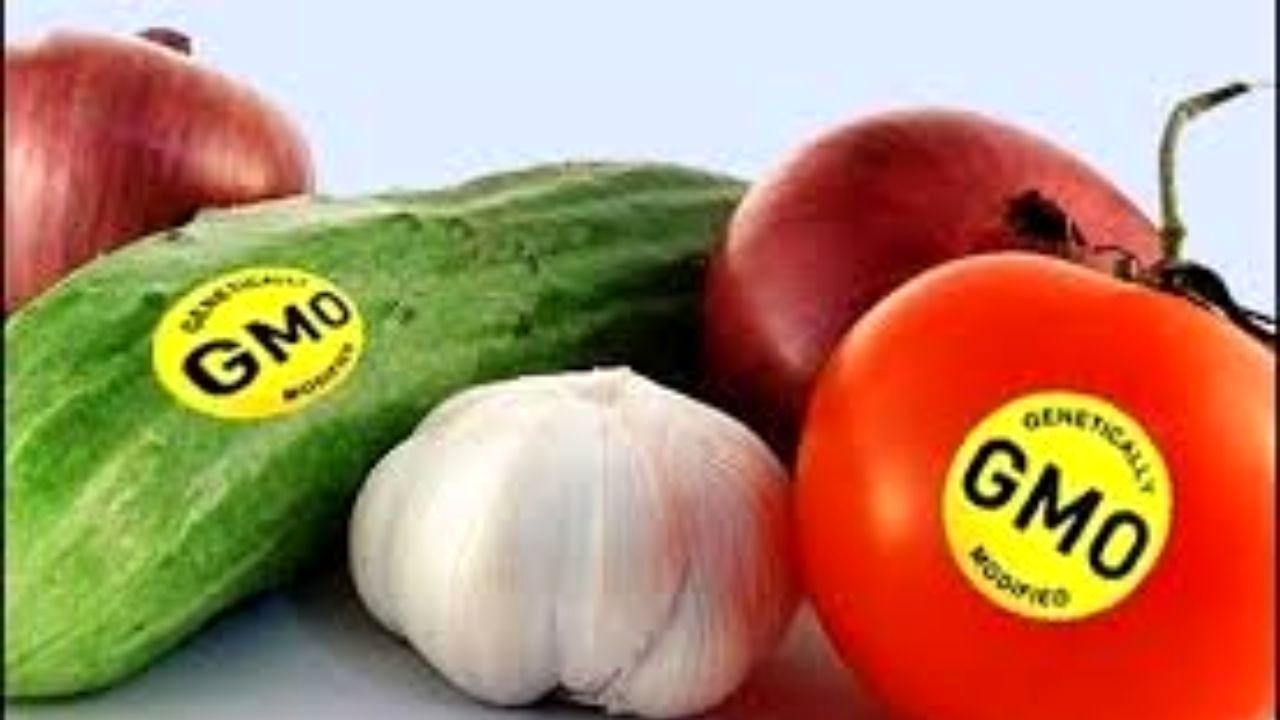 بالاخره مصرف محصولات تراریخته خطرناک است یا نه؟