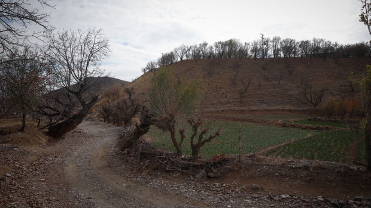 هنرگردی روستایی در 100 روستا
