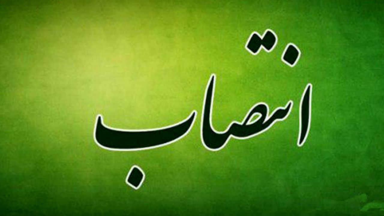 مدیرعامل شستا منصوب شد