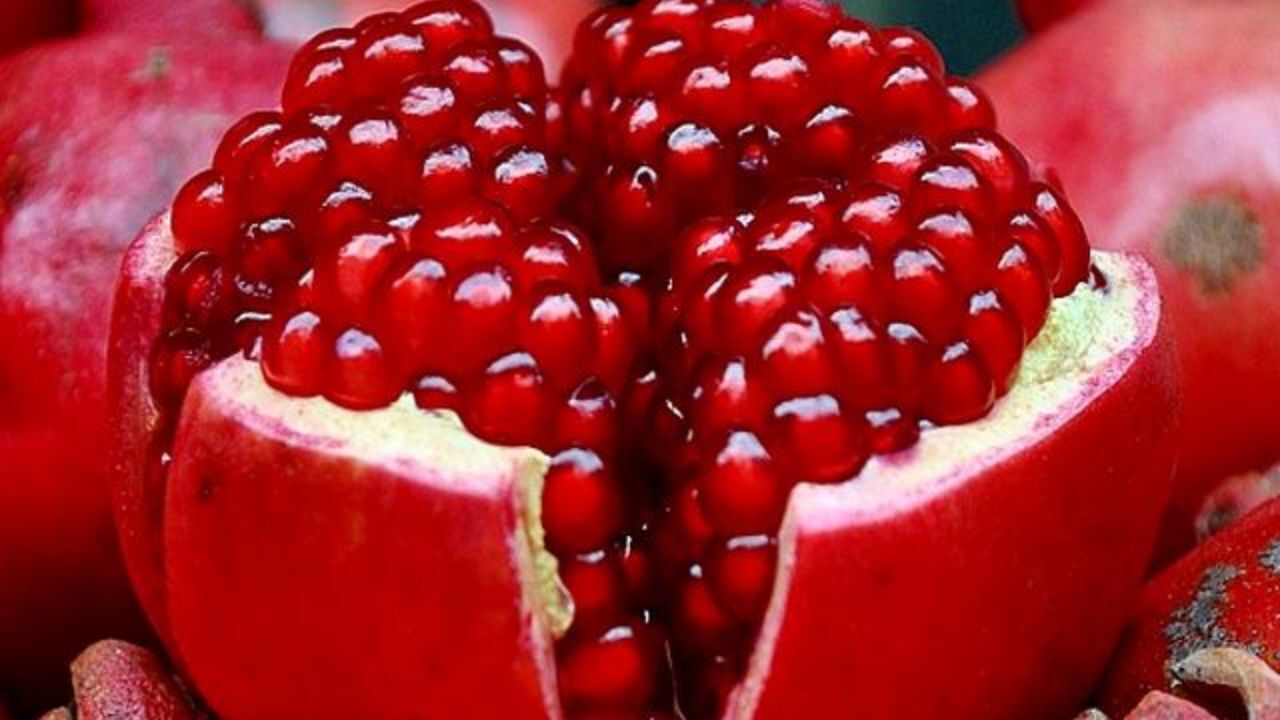 توزیع انار برای شب یلدا در گرمخانه‌ها