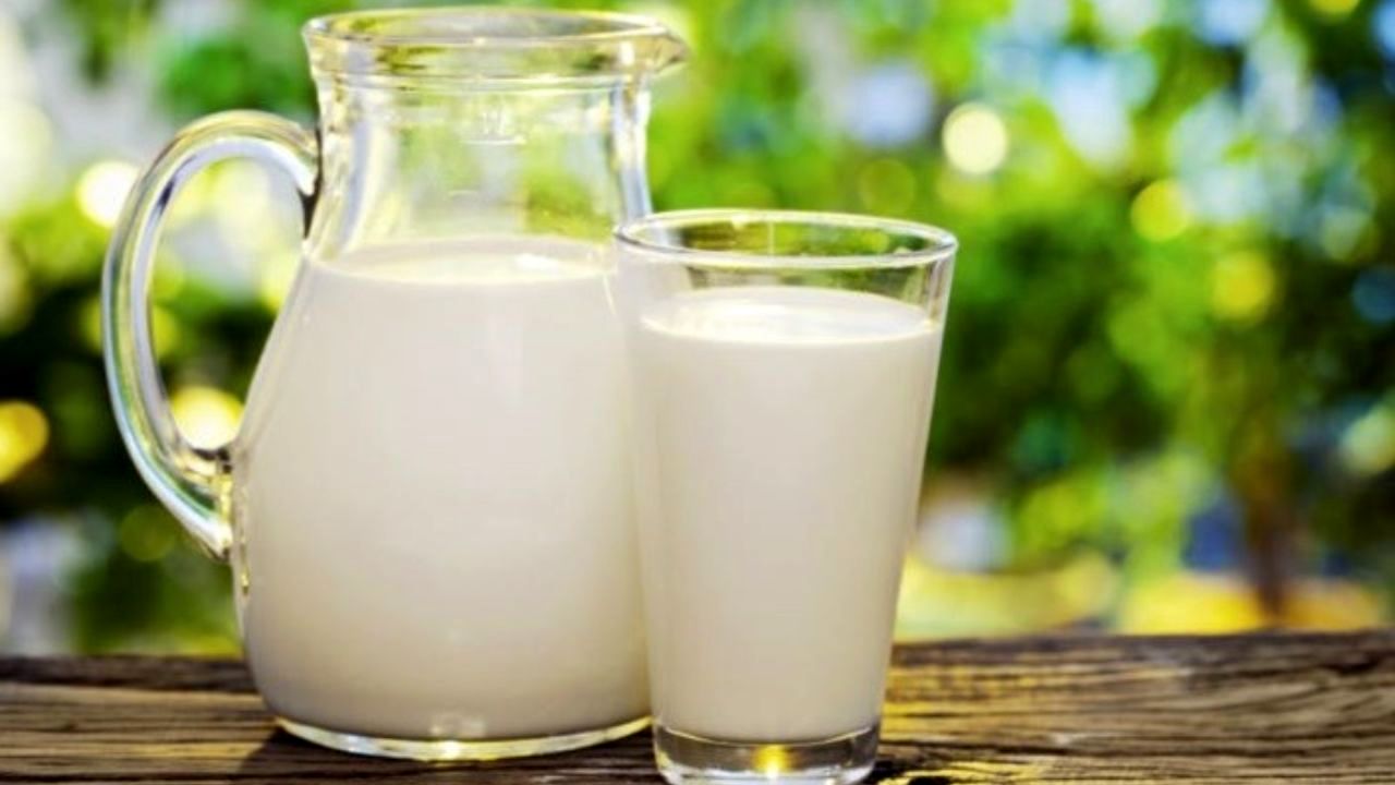 لبنیات با چربی 3.2 درصد خطری برای سلامت ندارد/ شیرهای پرچرب بهترند