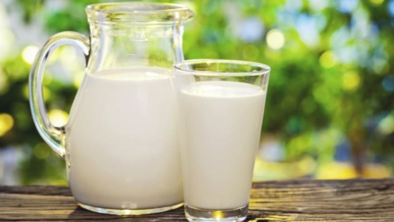 لبنیات با چربی 3.2 درصد خطری برای سلامت ندارد/ شیرهای پرچرب بهترند