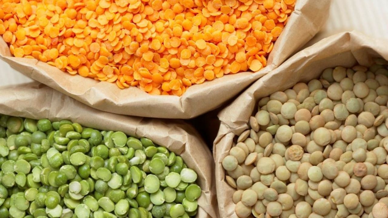 رفع سوء‌تغذیه با مصرف عدس