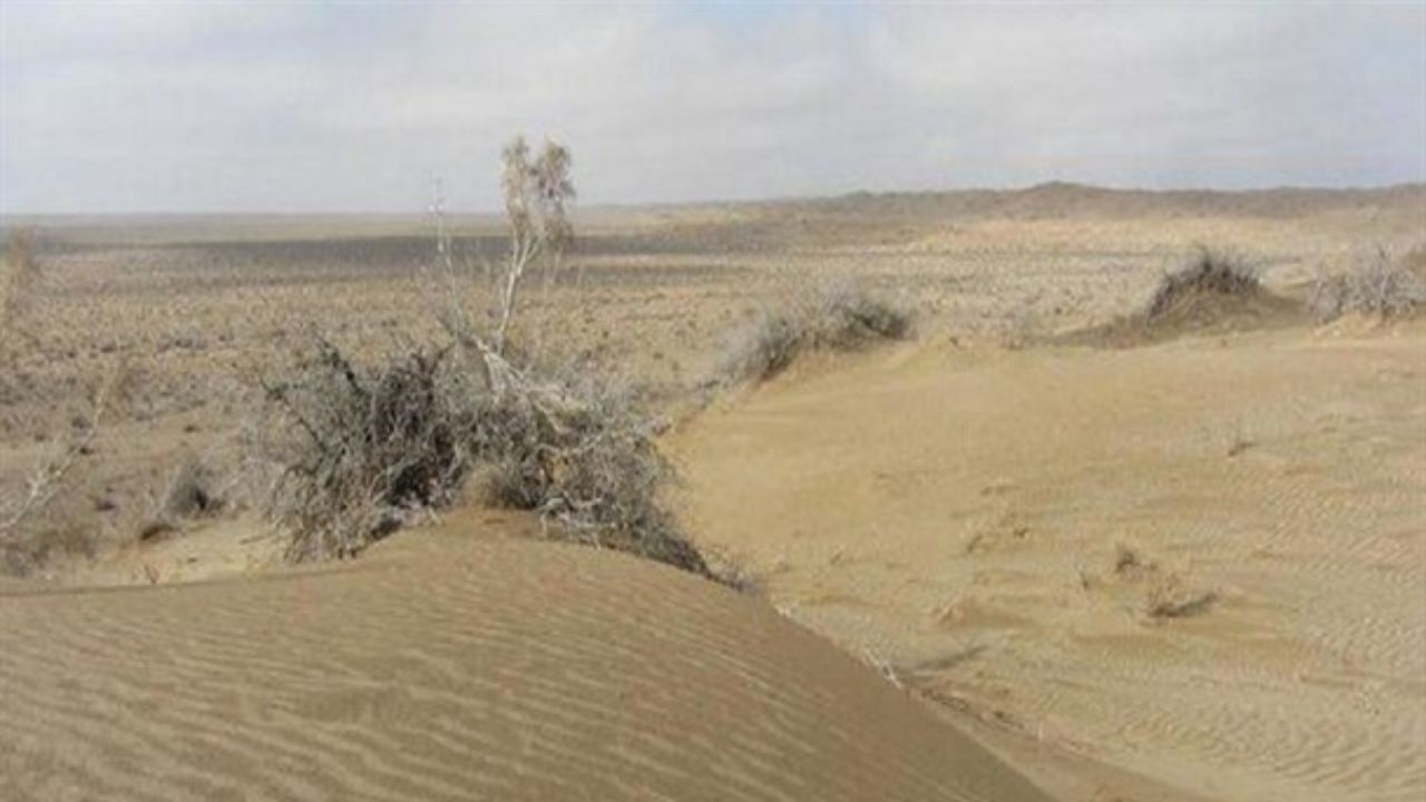 اختصاص 37 میلیارد تومان به پروژه‌ بیابانزدایی سیستان