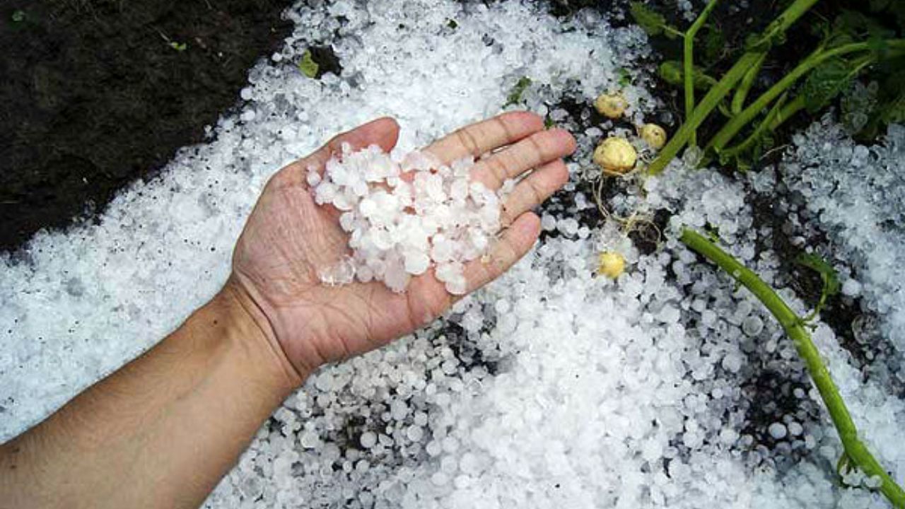 طوفان تهران هیچ خسارتی درپی نداشت